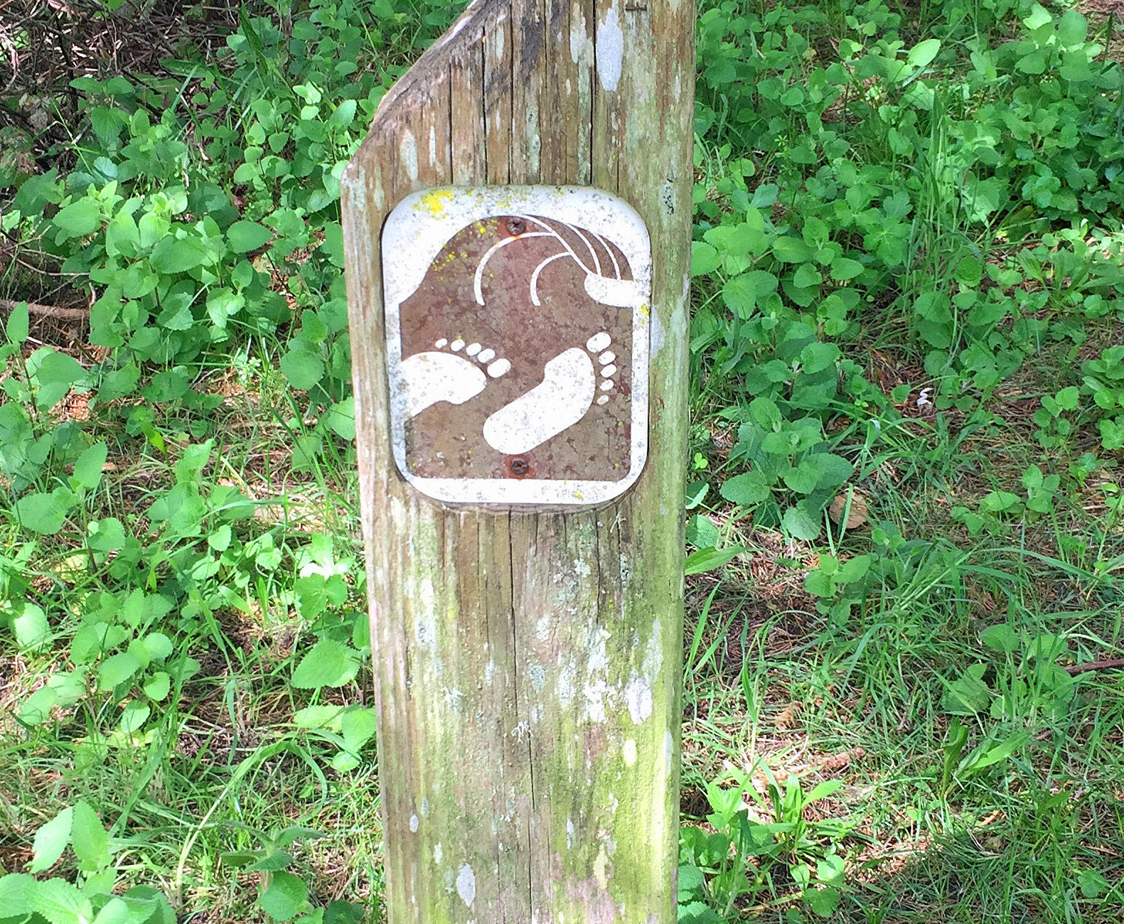 Trail to the Beach Marker