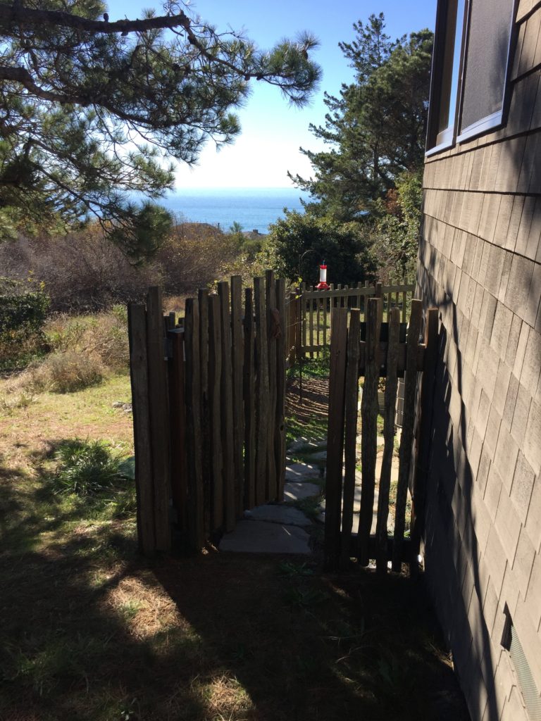 Fenced Yard Gate Exit To Trail